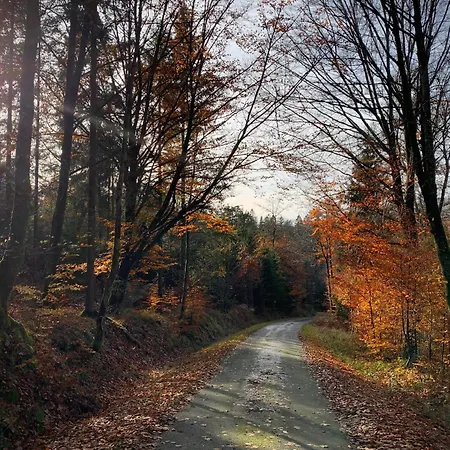 Panzió Haus Chresten Bullange