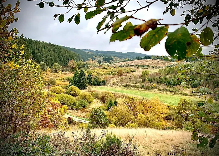 Haus Chresten Panzió Bullange