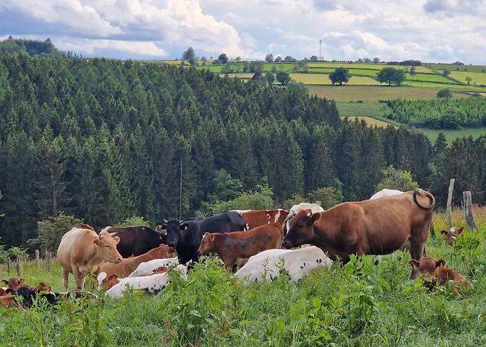 Haus Chresten Panzió